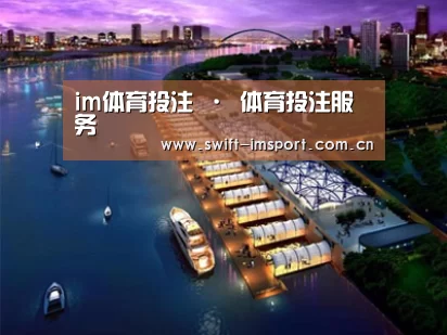 案例展示八