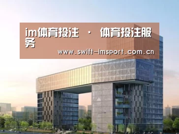 案例展示四