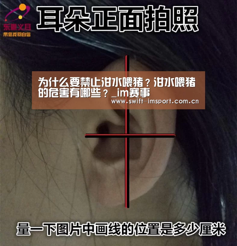 体育博彩