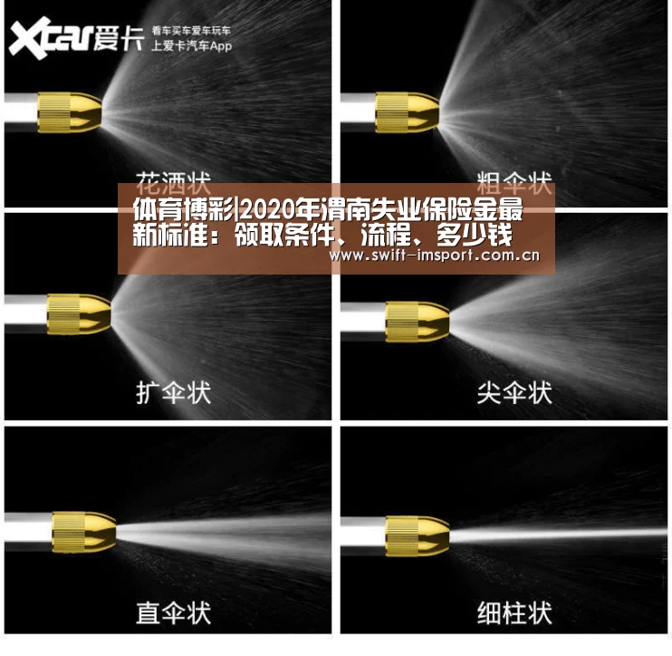 im体育欧洲杯