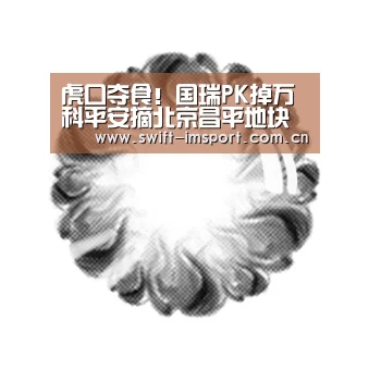 im体育欧洲杯