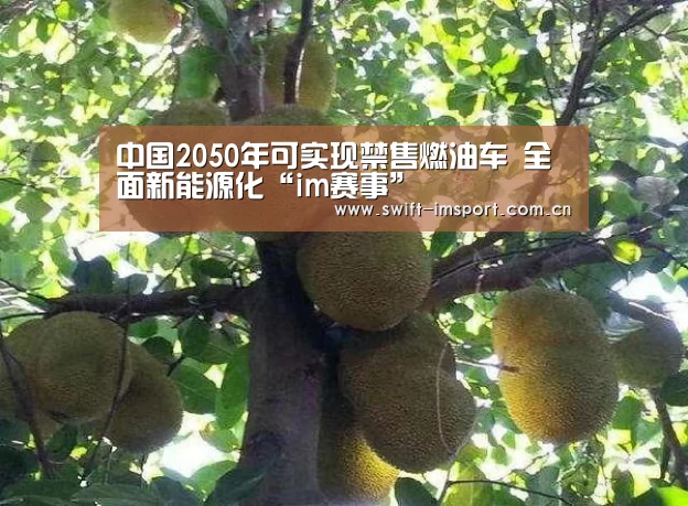体育博彩