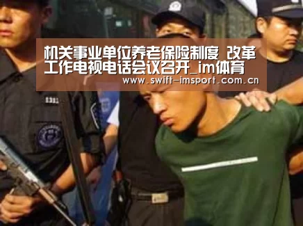 im体育下载