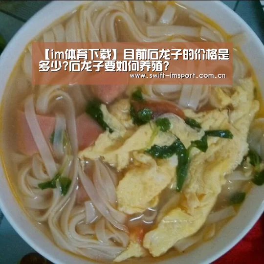 im体育欧洲杯