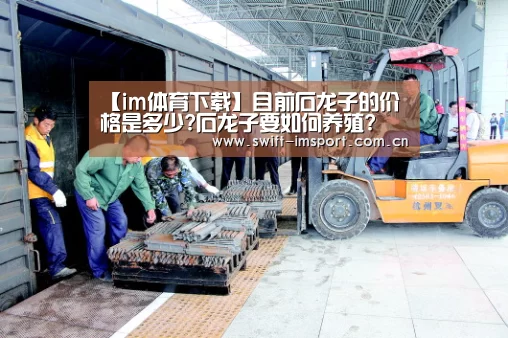 im赛事