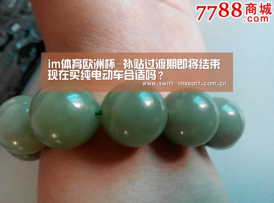 im体育欧洲杯