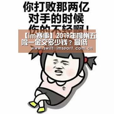 im体育欧洲杯