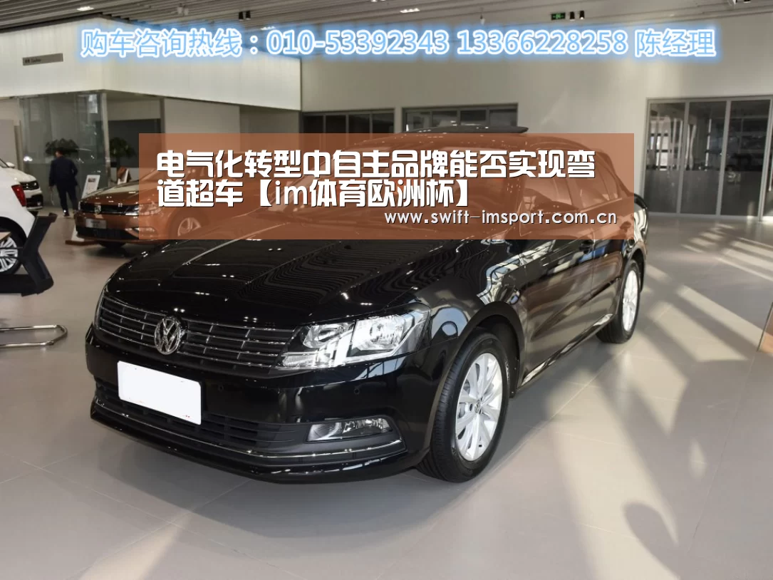 电气化转型中自主品牌能否实现弯道超车【im体育欧洲杯】(图1) im体育欧洲杯